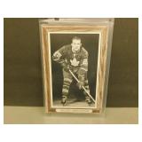 Orland Kurtenbach Bee Hive Photo