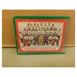 1973-74 OPC Minnesota North Stars #99 Hockey Card