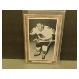 Matt Ravlich Bee Hive Photo