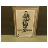 Ken Wharram Bee Hive Photo