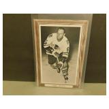 Doug Mohns Bee Hive Photo