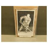 Red Kelly Bee Hive Photo