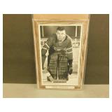 Gump Worsley Bee Hive Photo