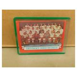 1973-74 OPC Detroit Red Wings #97 Hockey Card