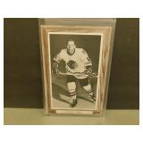 Dennis Hull Bee Hive Photo