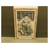 Terry Sawchuk Bee Hive Photo