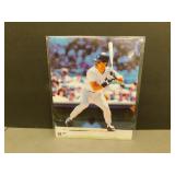 Don Mattingly MLB Licensed Photo