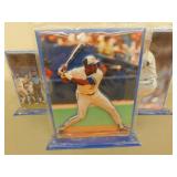 3 -3-D Blue Jay Photos