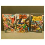 Black Hood #1, #2, #3 - 1983