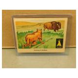 1959 Fleer Indian Trading Card #16