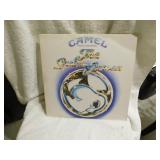 Camel-The Snow Goose