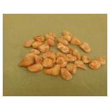 Sunstone collectable rocks
