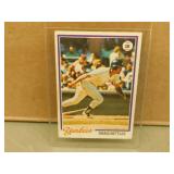 1977 O-Pee-Chee Greg Nettles card