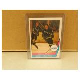 1977/78 OPC WHA Don Lerway #48