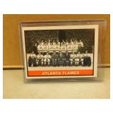 1974/75 OPC Atlanta Flames Team #377