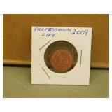 2009 USA Professional Life Penny