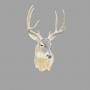 DEER HEAD MOUNT, 9 POINT, 14-3/34" INSIDE SPREAD,