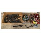 SHELF OF BUNGE CORDS / TIE DOWN STRAPS