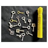 (15+ PCS) SMALL SKELETON KEYS