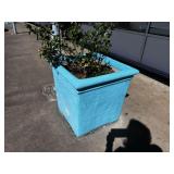 TURQUOISE PAINTED LARGE CONCRETE PLANTER
