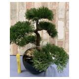 FAUX BONSAI PLANT IN CERAMIC PLANTER