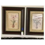(2X) FRAMED JOAN  COLE FRAMED ART -