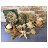 BOX OF ASSORTED SEASHELLS & Dï¿½COR ITEMS