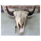 AMERICAN BISON SKULL, 26" WIDE