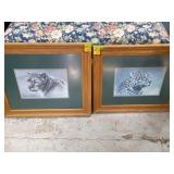 2 pictures - cheetahs