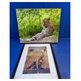 (2) Wildlife Prints ï¿½ Leopard & Cheetahs