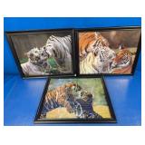 (3) Framed Tiger Wildlife Prints
