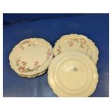 (9) Homer Laughlin Plates