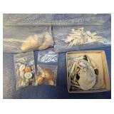 (5) Assorted Seashells in Bags and Box