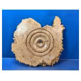 (1) Natural Burl Wood Wall Art Piece