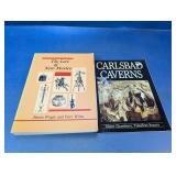 (2) New Mexico History Books