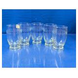 (5) Etched Glass Tumblers