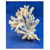 (1) Natural Branch Coral Specimen