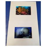 (2) Matted Ocean Photography Art Prints