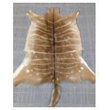 Genuine Nyala Hide Rug