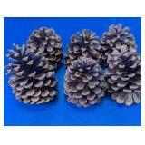 (6) Brown Natural Pine Cones