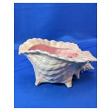 (1) Ceramic Conch Shell Bowl