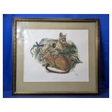 (1) Mountain Lion Framed Art Print