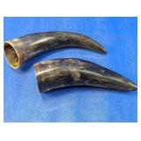 (2) Decorative Polished Natural Animal Horns