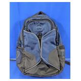 (1) Delsey Laptop Backpack / Daypack