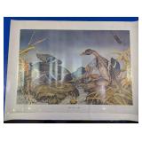 Wildlife Duck Scene Art Print