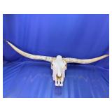 Authentic Longhorn Skull Wall Mount