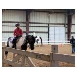 Bay Area Equestrian Center Riding Experience