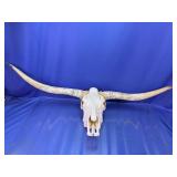Authentic Longhorn Skull Wall Mount