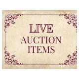 Live Auction Items  PREVIEW ONLY
