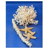Decorative Sea Coral and Starfish Collection